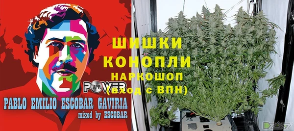прущие крисы Нефтекумск