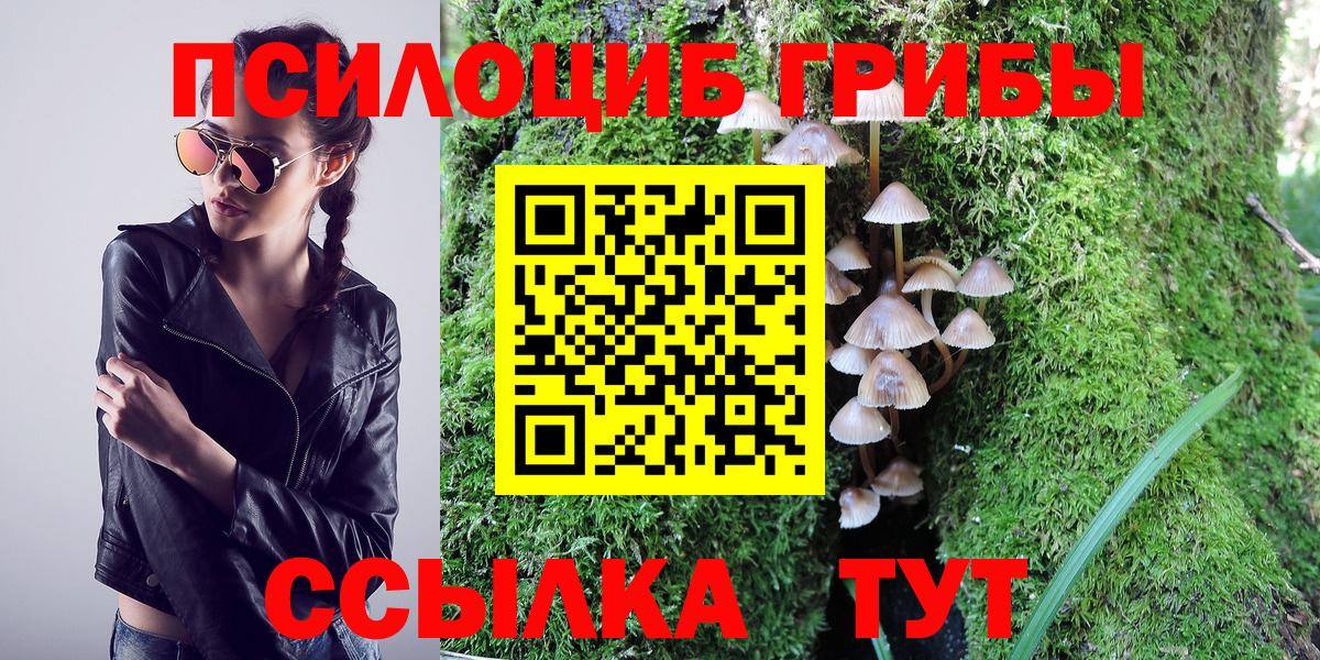 Галлюциногенные грибы Psilocybine cubensis Ртищево