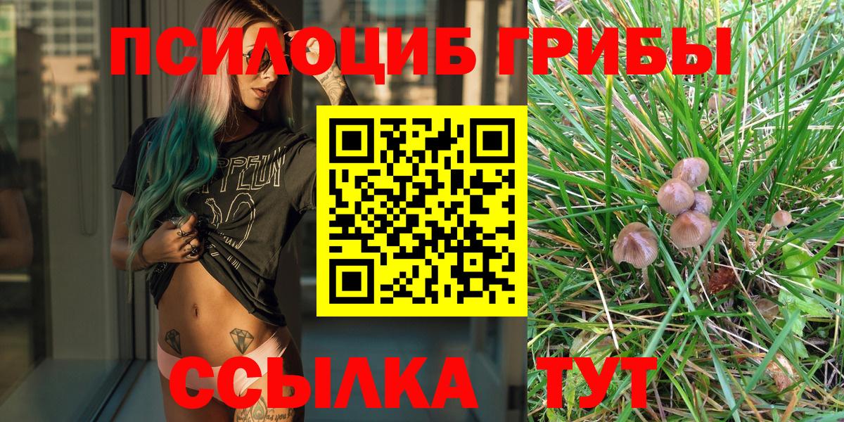 Галлюциногенные грибы мицелий  Вход с VPN  Ртищево 
